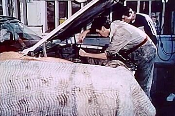 50s Homosexual Males (full Movie) Vintage