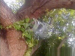 Amazing xxx video Hardcore Porn wild , it's amazing