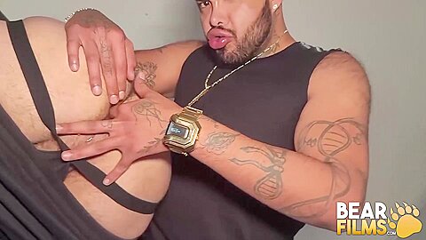 BEARFILMS Compilation Of Bears Relentlessly Breeding Raw