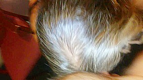 Bbw slut blowjob and swallow