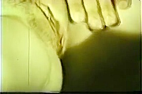 Best Small Tits, Vintage sex movie