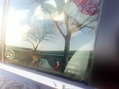 Blowjob in a parked car got spotted