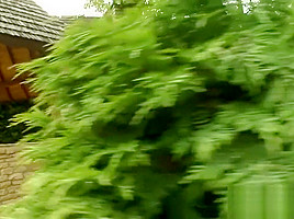 Dorothy Black brings the Fake twins out for a showing