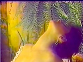 Erica Boyer, Nina Hartley, Porsche Lynn in vintage xxx site