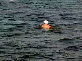 Fucking in nature 2016