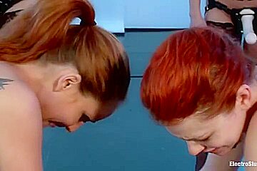 Ginger Shock