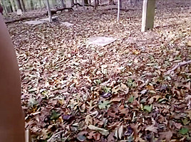 Happy Halloween! Naked in abandoned cemetery, wanking & ass play til I cum