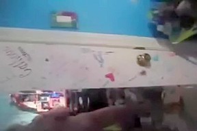 Home alone immature receives wild