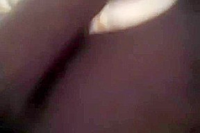 Home alone immature receives wild