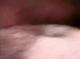 Horny cubs suck and fuck
