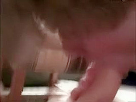 Hot Cam Couple Fuck For Arab Guest 3