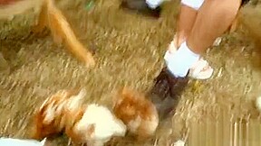 Hunk Is Driving His Massive Rod Deeply Into Babe's Cunt