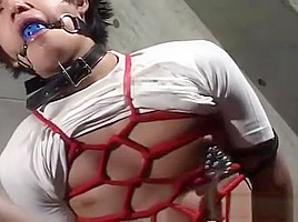 JAPANESE MASTER AND SLAVE