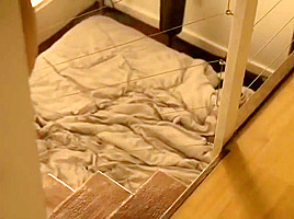 Mike's Video 2466 Bigsucu