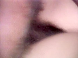 Misty Regan, Beverly Bliss, Pamela Jennings in vintage porn site