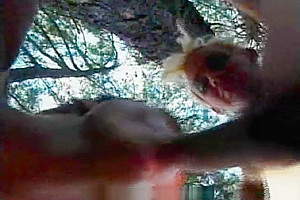 Oral caress with a tranny in a forest