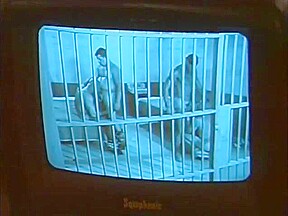 Prison fuck buddies - Pacific Sun Entertainment