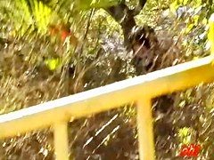 Skirt sharked babe hid in the bushes after the shark attack