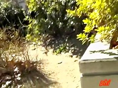 Skirt sharked babe hid in the bushes after the shark attack