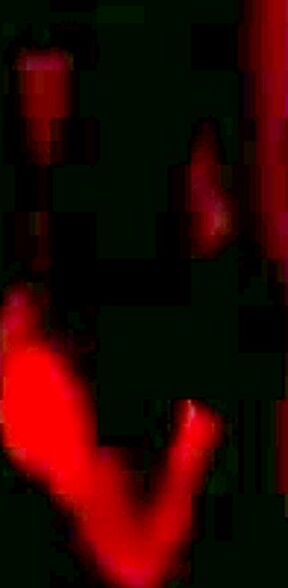 Spouse Distributed To A Man That Was Brand New