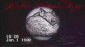 Tiffany Cappotelli Cleans Up