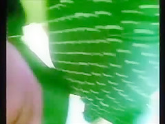 UPSKIRT ENCOXADA BUS
