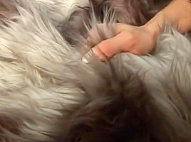 Victoria Rose (480p)