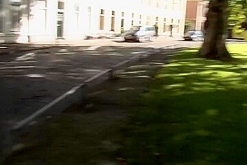 Vlaamse Tamita Helemaal Ondergespoten - Vurigvlaanderen