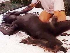 black shampoo