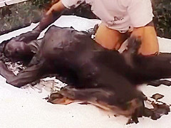 black shampoo