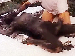 black shampoo