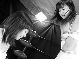 catfight
